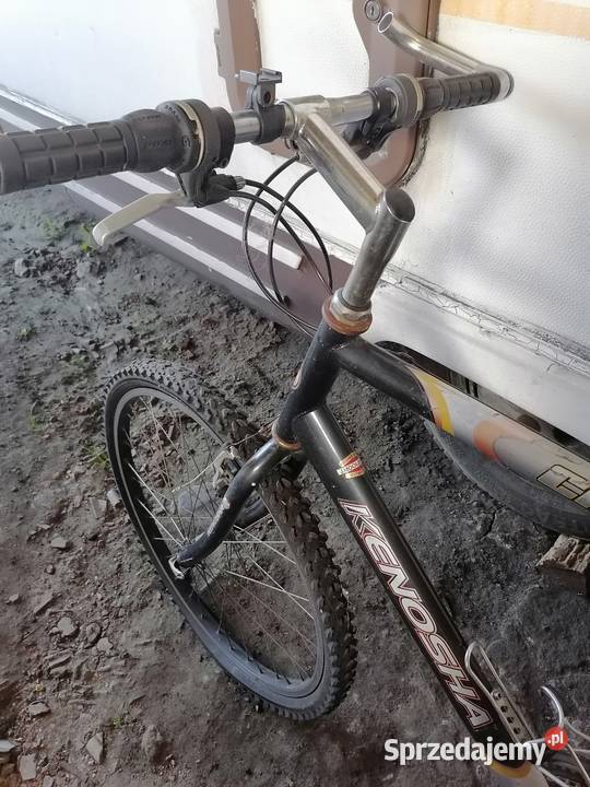 Rower męski Krotoszyn