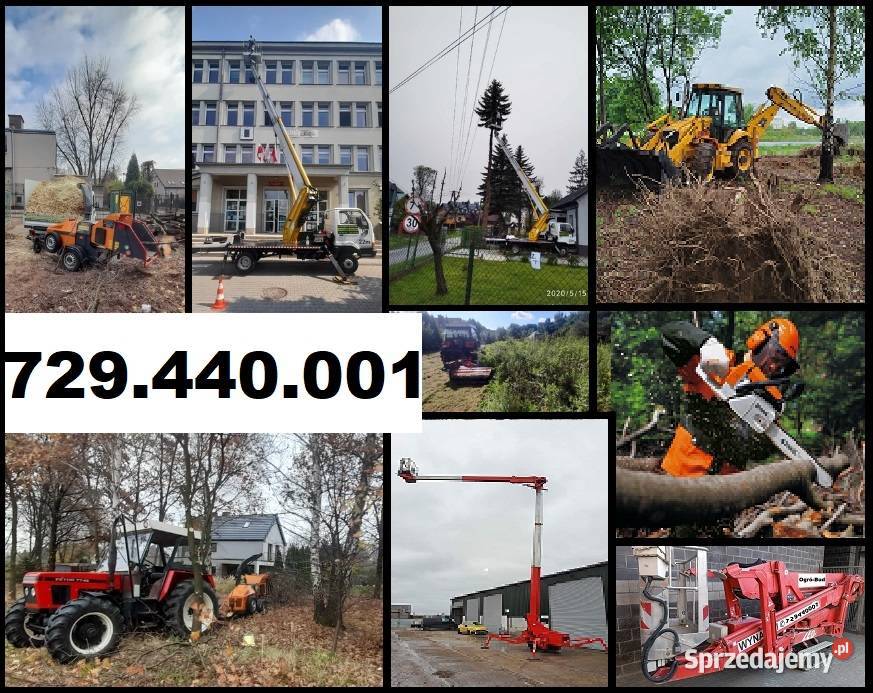 Wycinka przycinka drzew Podnosnik koszowy Rębak