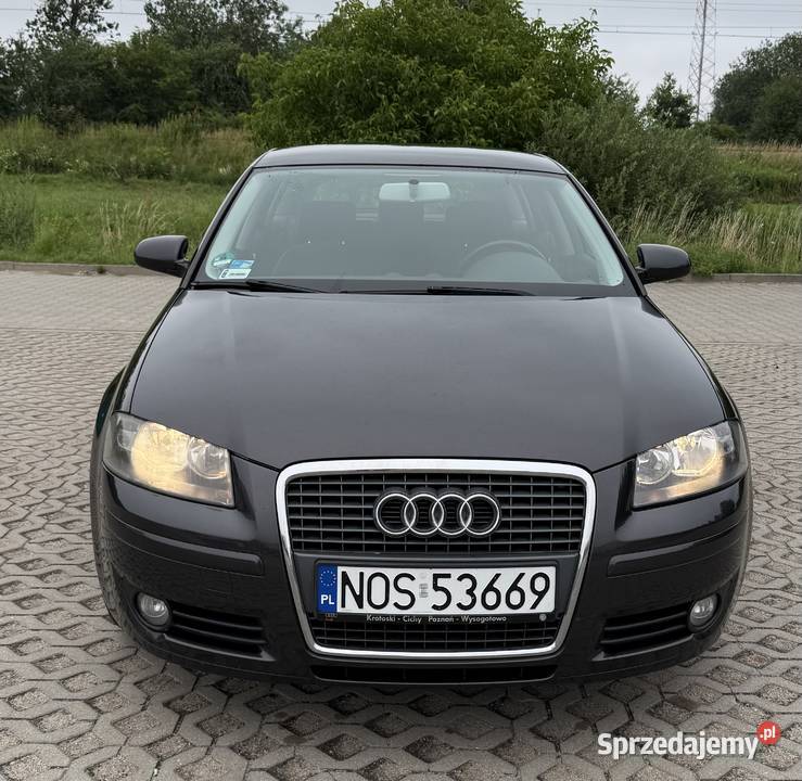 Audi a3 8p 16 lpg 102KM