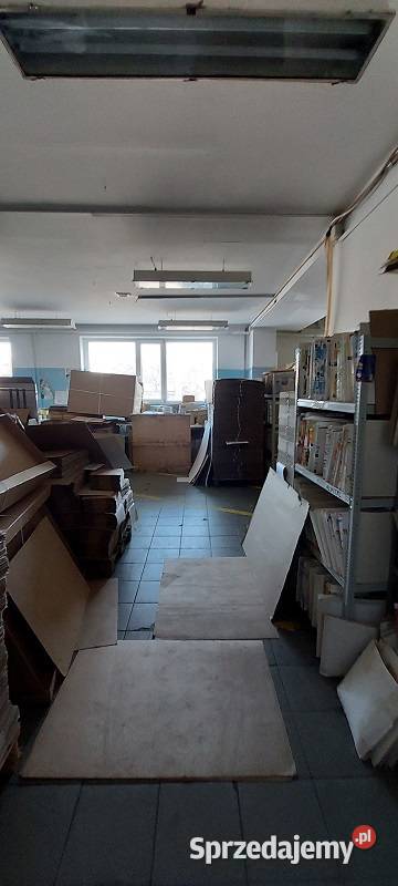 Syndyk sprzeda Zakład Produkcyjny WGnatowski w