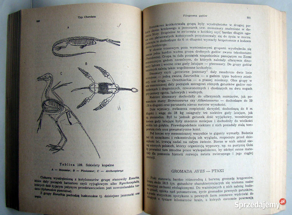 Zoologia Stanisław Chudoba Wyd IV Limanowa