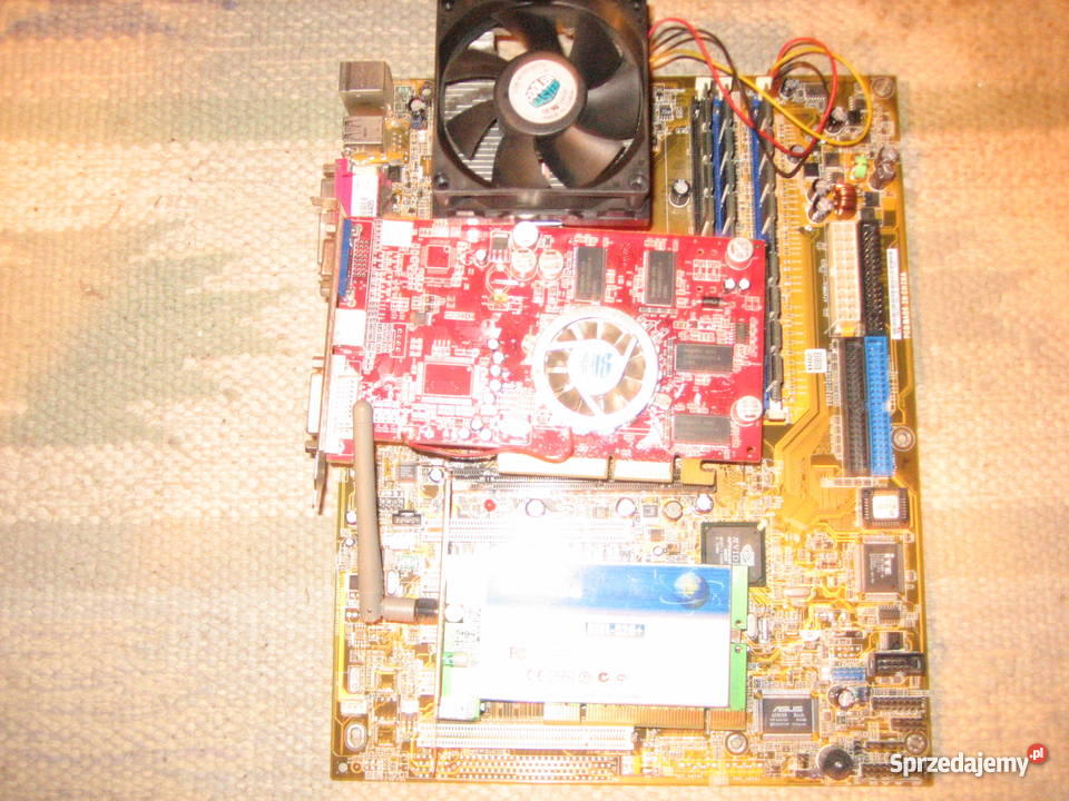 asus a7n8x Klasy AMD Athlon 64 X2 Bydgoszcz