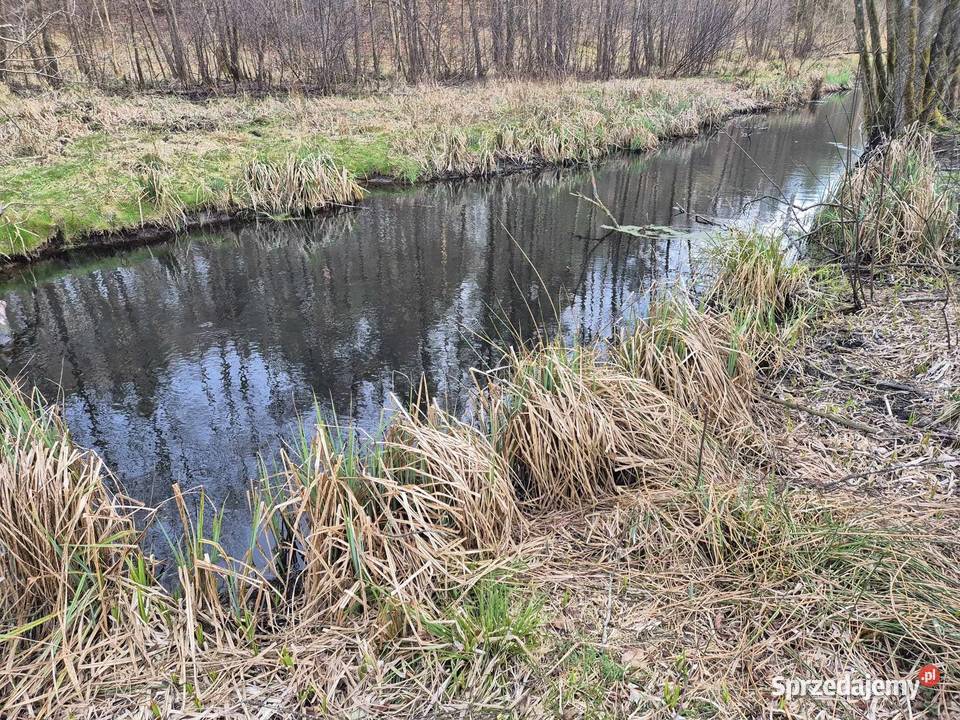 Działka grunt Niesiołowice