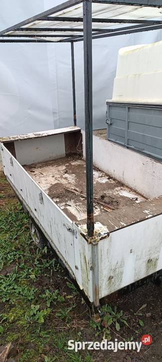 Przyczepa sam 750 Rok produkcji 2010 Sandomierz