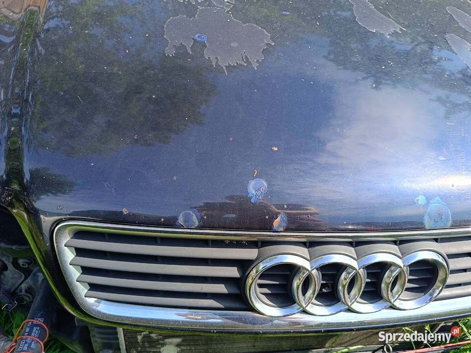 Maska LZ5L Audi A4 B5 FL a31 Myszków