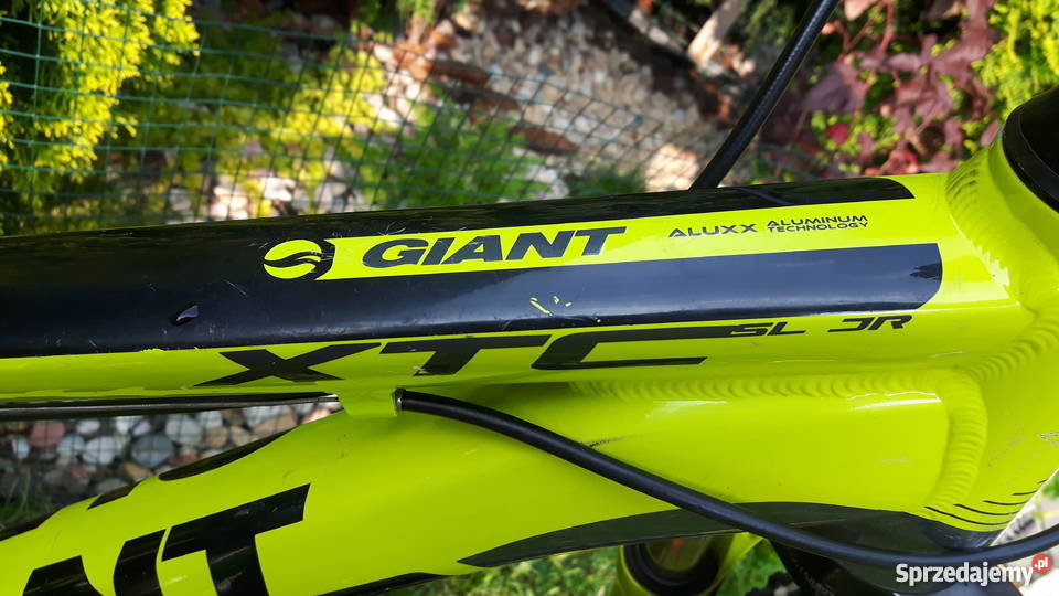 Giant xtc sl store jr 24 2017