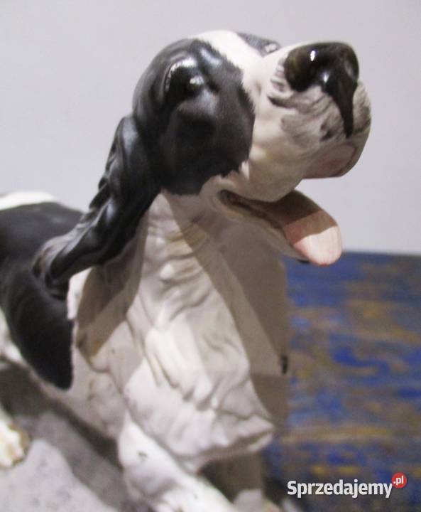 Duża Figura Pies Spaniel Beswick Nieporęt
