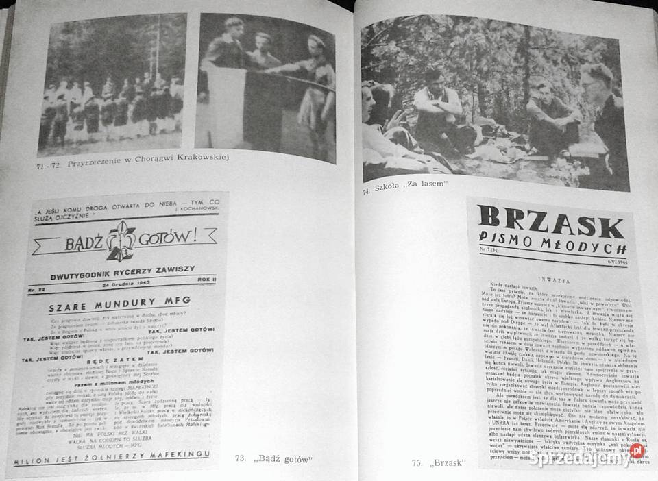 Całym życiem Szare Szeregi w relacji naczelnika Chełm