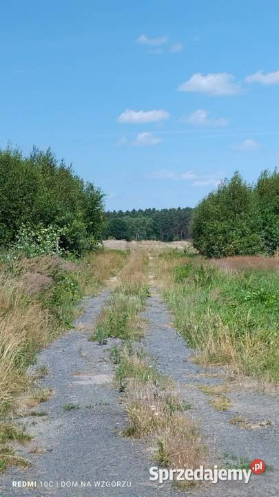 Działka 01 Ha Przybymierz Gmina Nowogród sprzedam