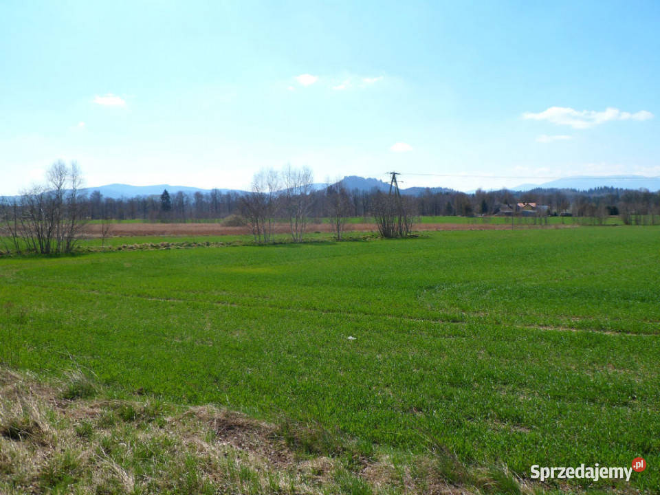 sprzedaży działki Jelenia Góra inwestycyjna