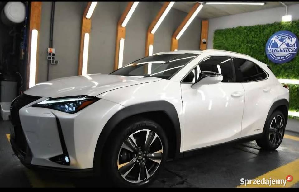 Lexus UX 250H Omotenashi Mark Levinson premium Lublin