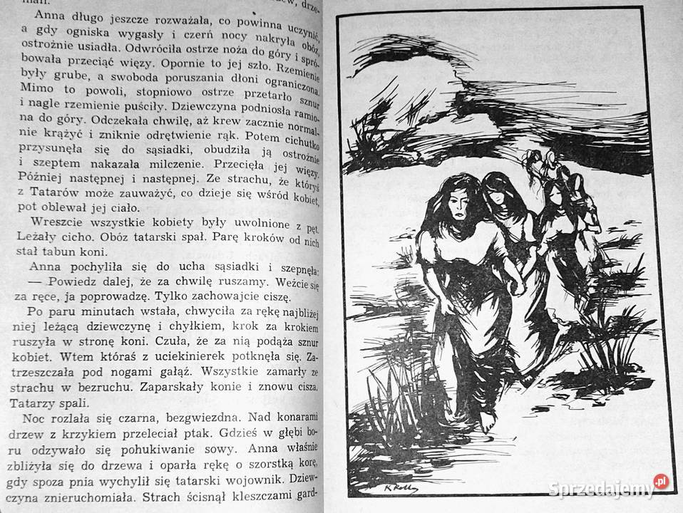 Opowieści Niedźwiedziego Grodu Longin Jan Okoń Pozostałe lubelskie Chełm