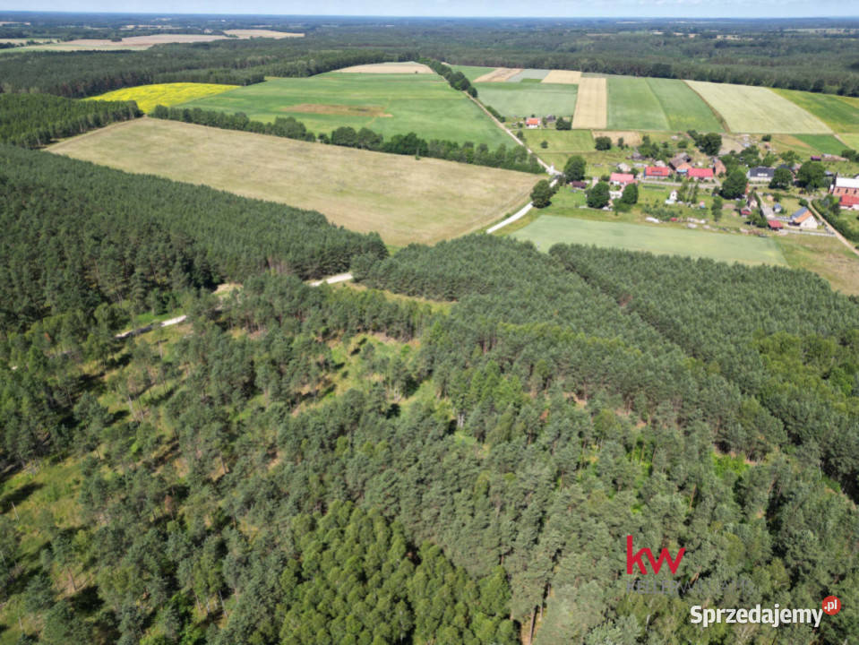 Sprzedaż domu wolnostojącego Jaglice 80m2