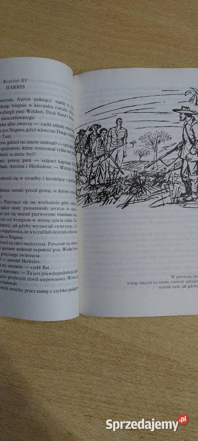 Piętnastoletni kapitan ISBN 8310084412 lubelskie Lublin sprzedam