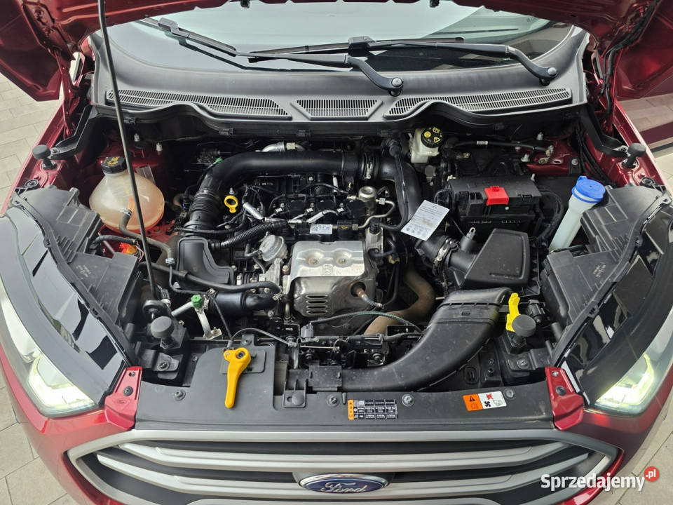 Ford EcoSport śliczny 88197 duża NAVI SYNC 3 PDC tempomat wielkopolskie Czarnków