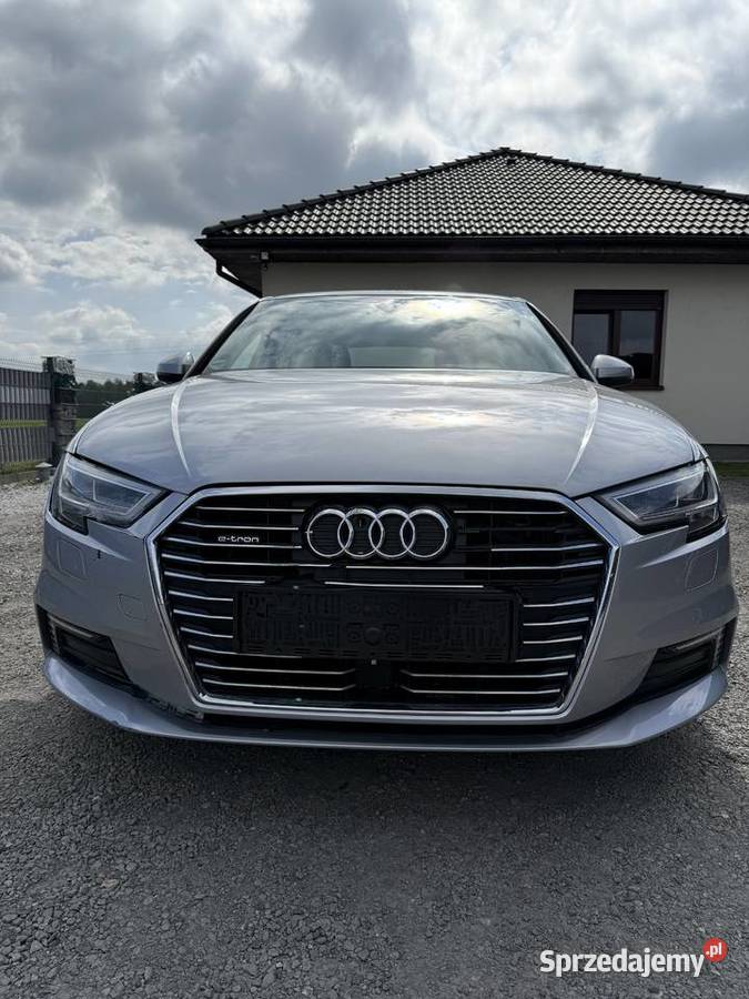 Audi A3 etron 2018 1395cm3 Książenice