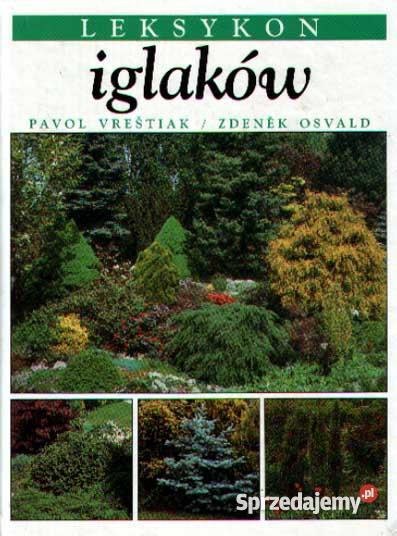 Iglaki Leksykon iglaków