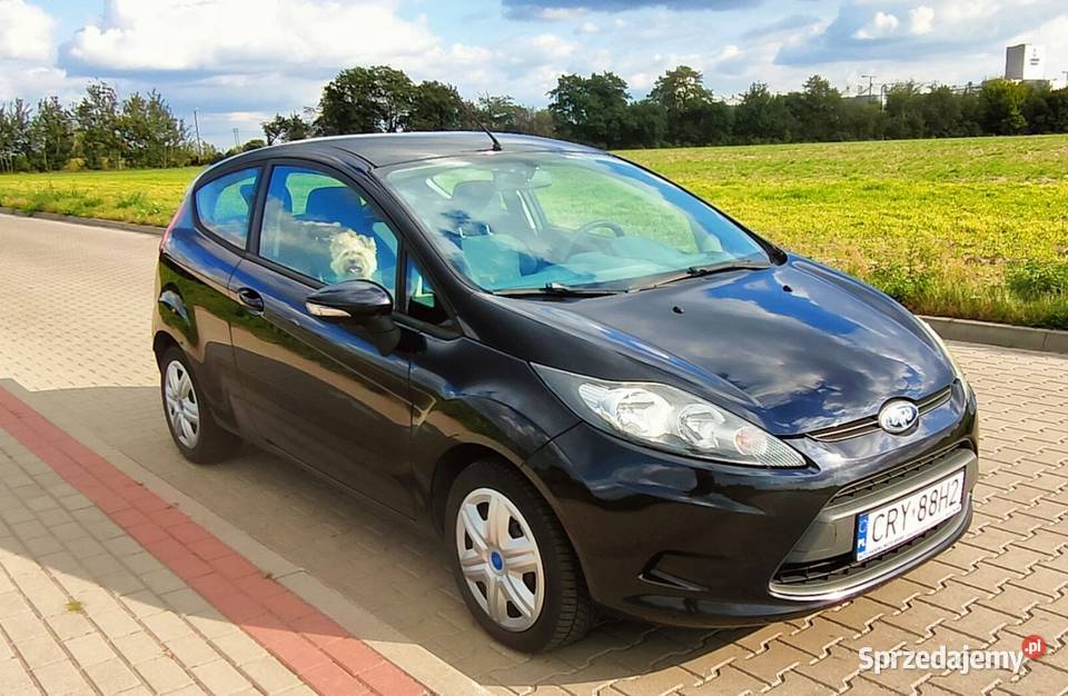 Ford Fiesta 125 lakier metallic Rypin