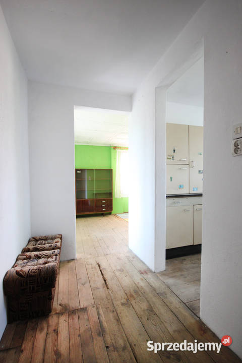 Zadbana działka ROD Ławica 506m2 Poznań