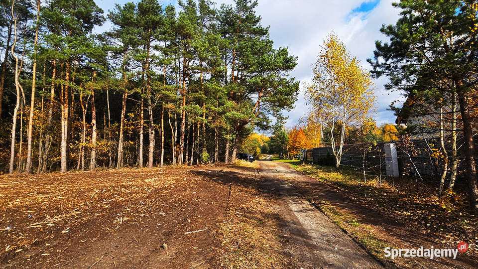 Działka 9000m2 Przeszkoda gm Żabia Wola Wynajem sprzedam