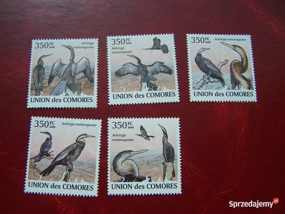 Komory 2009 MNH Fauna Ptaki Kormorany 5v set