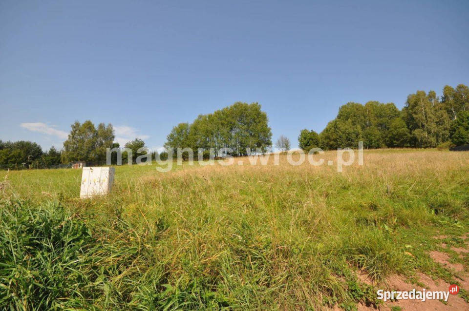 Widokowa działka budowlana na lekkim stoku Głuszyca