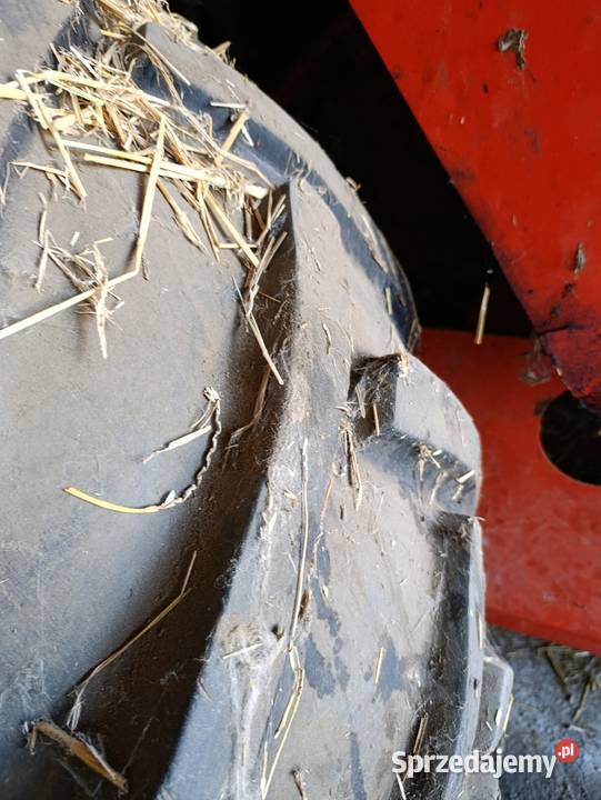 Kombajn zbożowy bizon Z056 Zbożowe Czyżew