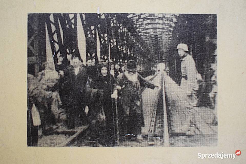 Fall Barbarossa Sanem Jan Różański Chełmno sprzedam