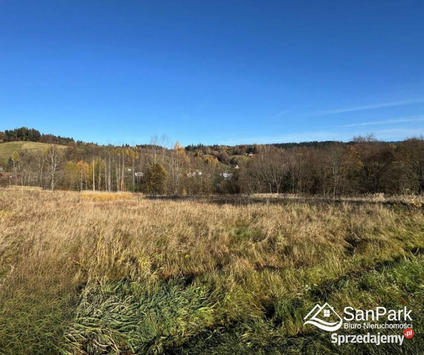 Działka Bezmiechowa Dolna 5000m2