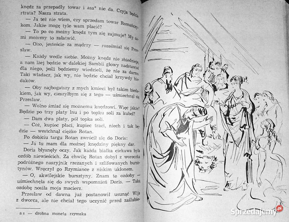 Gorące wici Janusz Teodor Dybowski lubelskie Chełm sprzedam