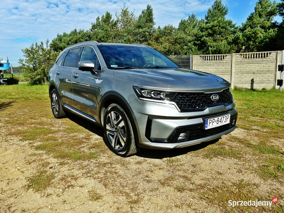 Kia Sorento 16 TGDI HEV Rok produkcji 2021 wielkopolskie Piła