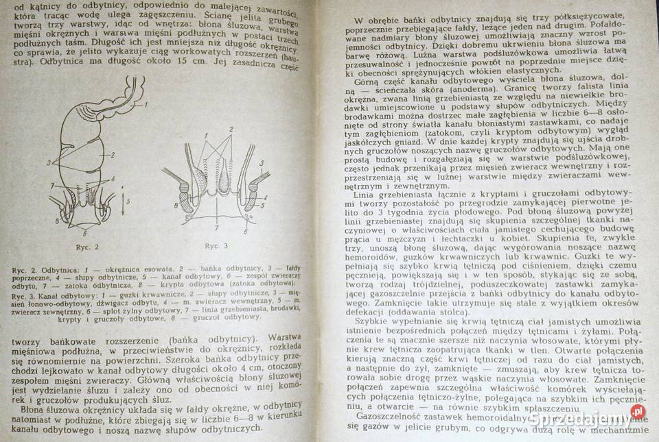 Hemoroidy a choroby proktologiczne Mieczysław Chełm