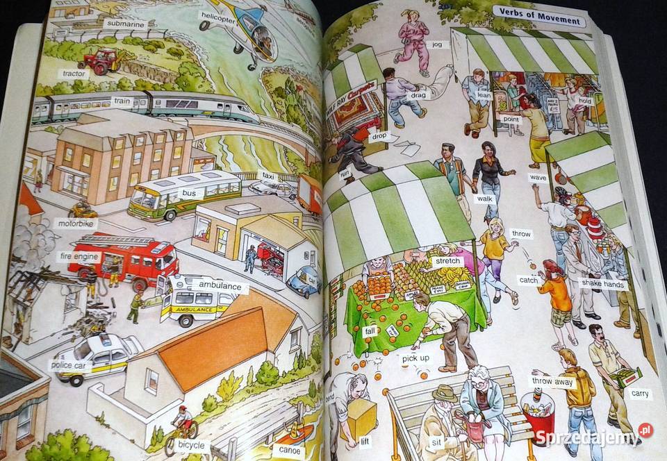 Longman Basic English Dictionary Chełm