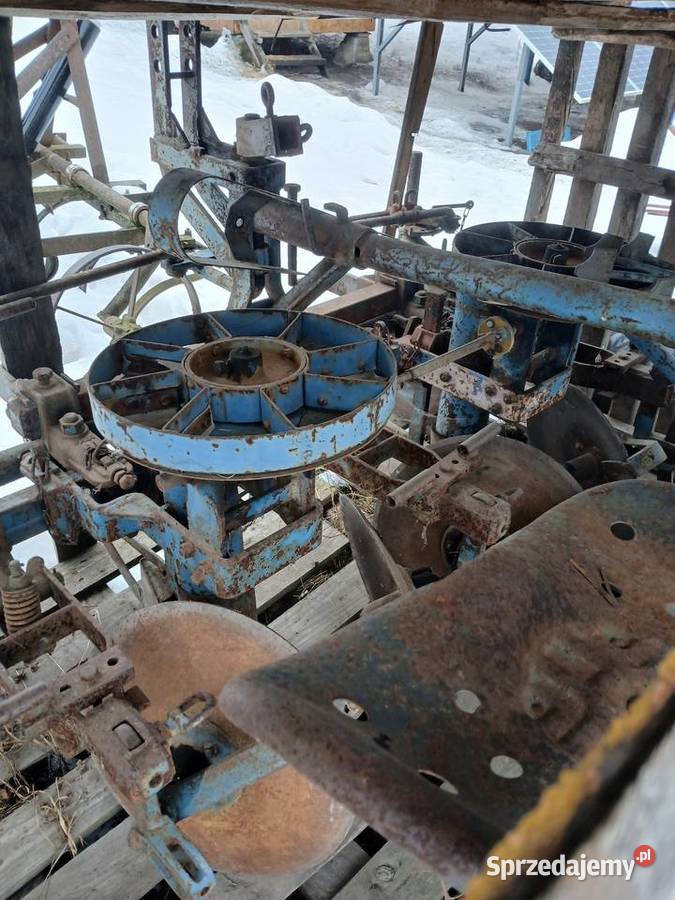 Sadzarka do ziemniaków Rybie