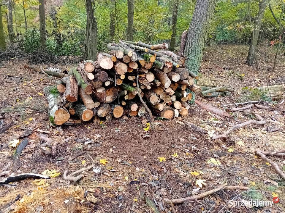 Drewno opałowe i kominkowe Czerwonak