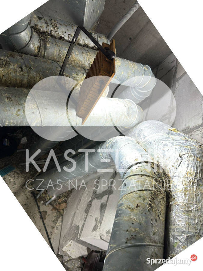 Sprzątanie gołębiach Zduńska Wola Kastelnik