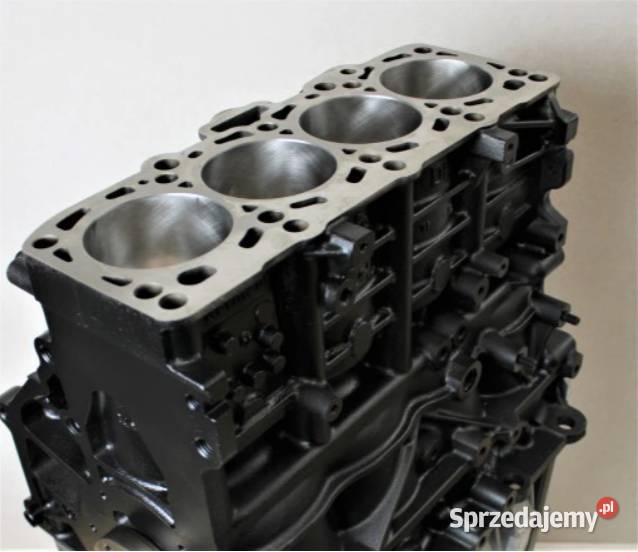Silnik 20 BiTDI 180 Volkswagen Transporter T5 osobowe Silniki kompletne