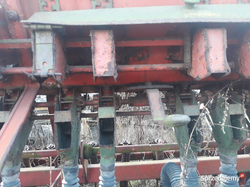 Siewnik rozyjski redlica talerzowa Przyszowice