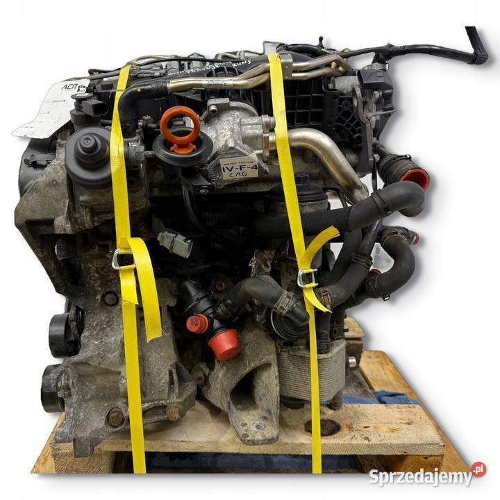 SILNIK CAG CAGA Audi A4 B8 Q5 8R A5 8T Seat Exeo Chełm