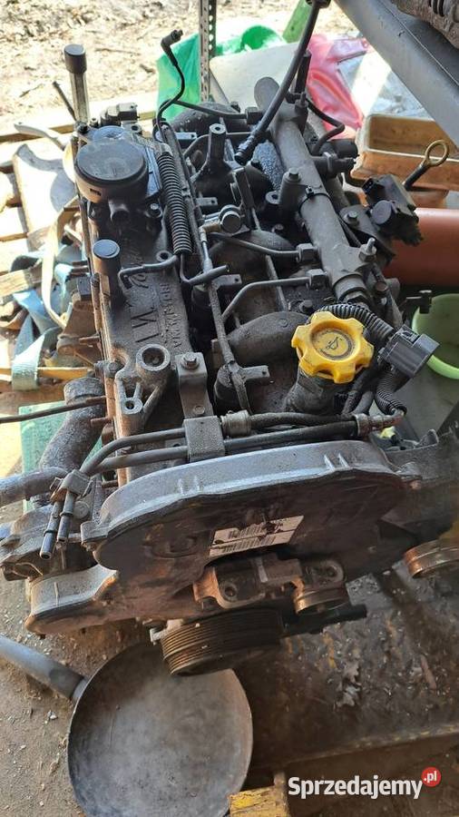 Głowica 28 crdi osobowe Głowice cylindrów Cygów