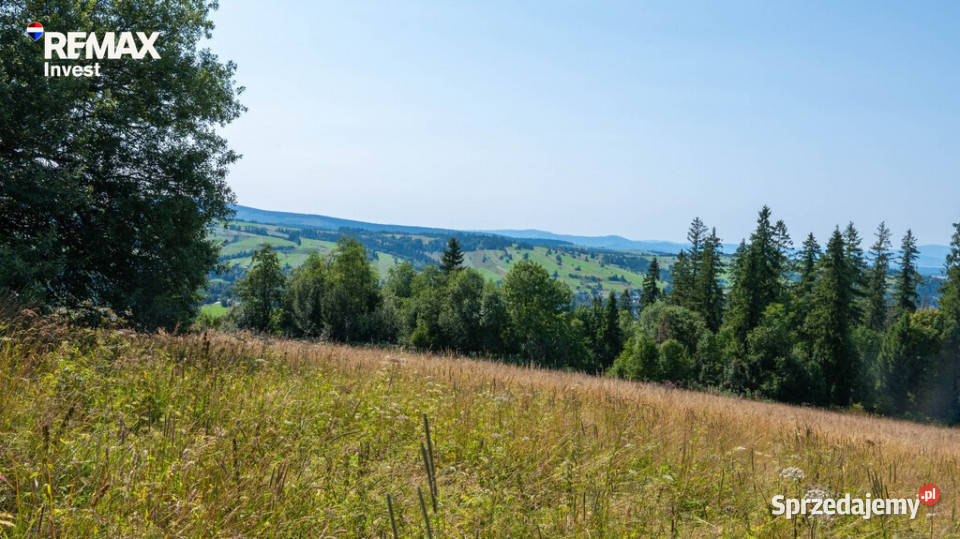 Twój kawałek natury z widokiem na Tatry 13zł/m2 Dzianisz