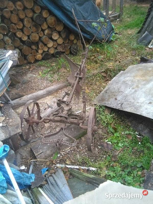 plug niemiecki konny Jędrzejów