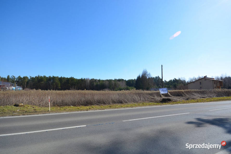 sprzedaży gruntu 2307m2 Głusko DużeKolonia gaz sprzedam