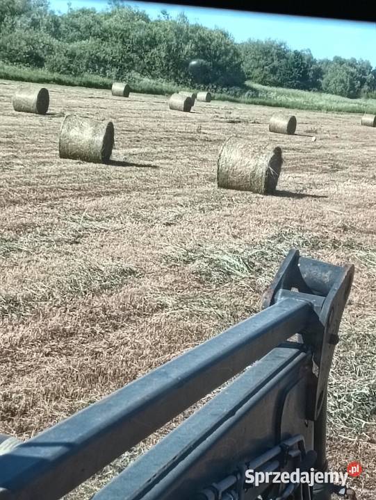 Siano baloty 100 Maciejowice sprzedam