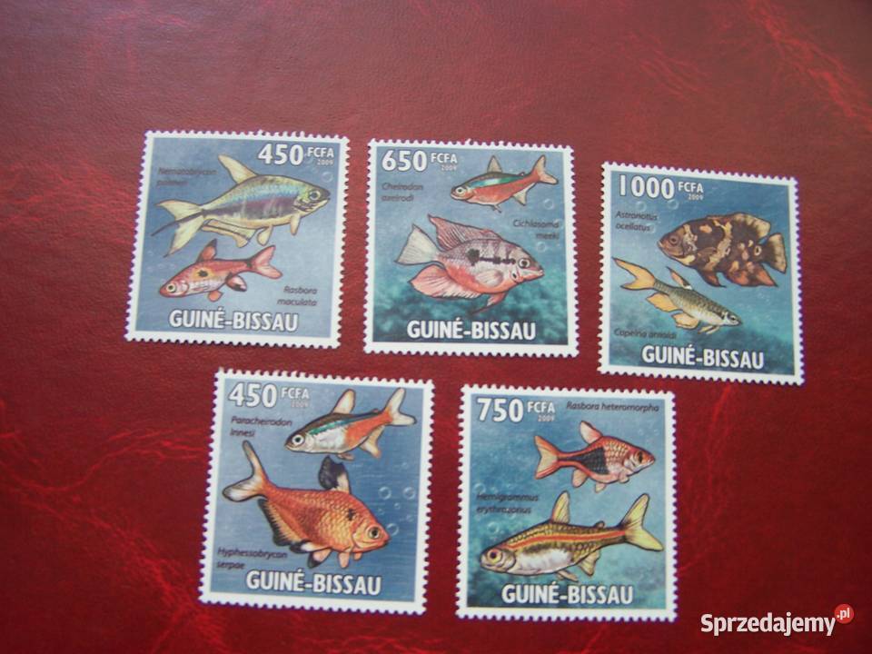 Gwinea Bissau 2009 MNH Fauna Ryby Morskie Tychy