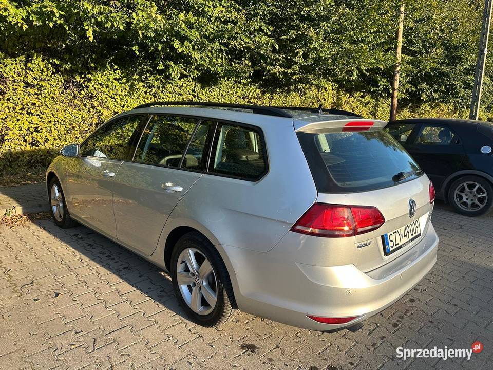 Volkswagen Golf VII 16 TDI BlueMotion NAVI Golf Żywiec