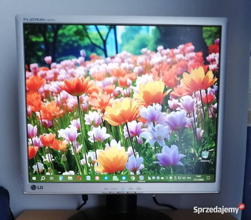 Monitor LG 19 Monitory i projektory
