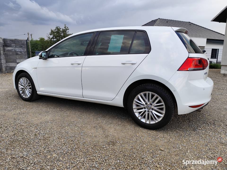 Volkswagen Golf VII 16 TDI 110 Gorlice
