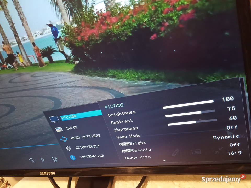 SAMSUNG S24D590L Monitor Poznań