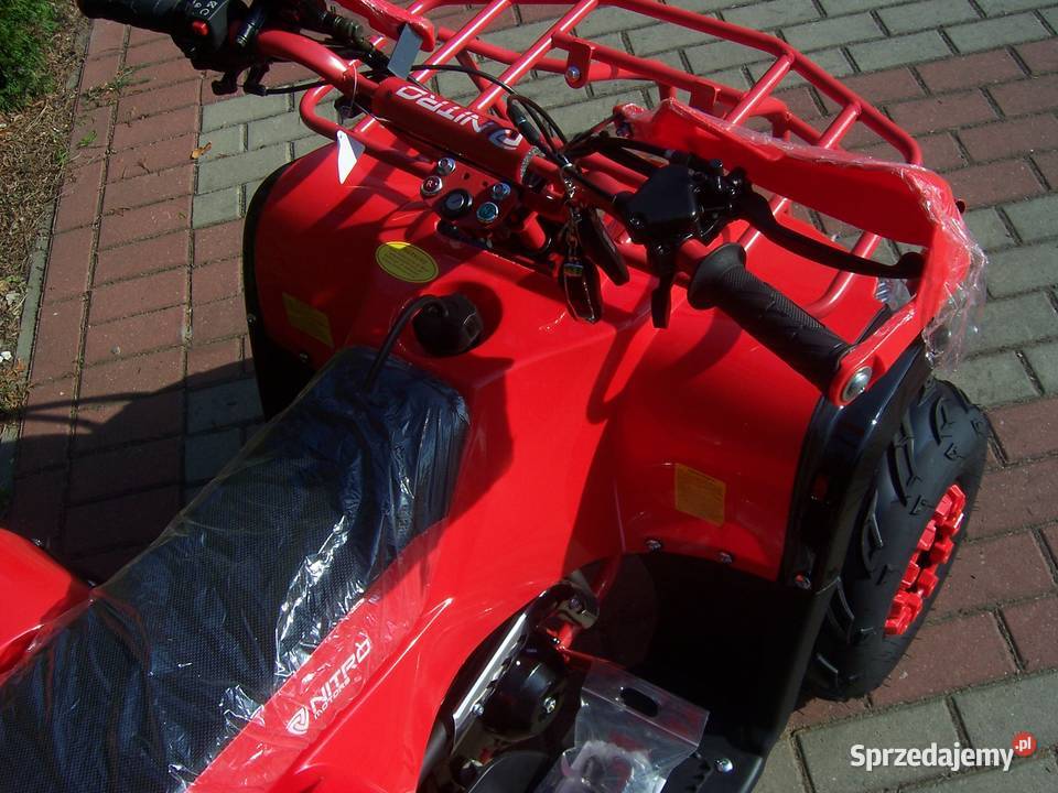 Quad KXD Hammer Phyton 110 cc 125 automat 1 1 Goleniów